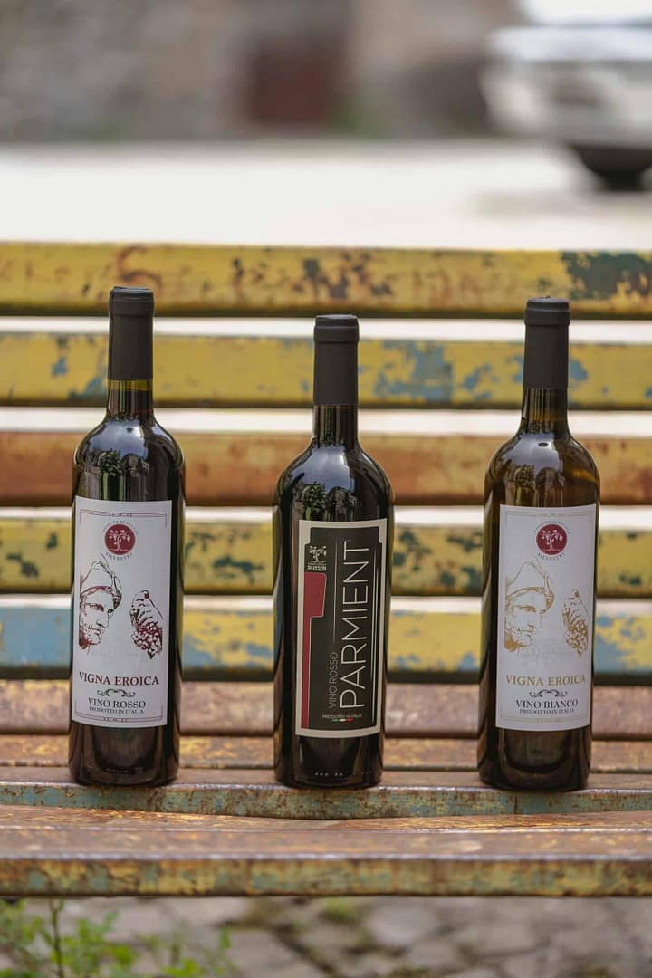 ABP08585_ABPHOTO2024_AZIENDA_AGRICOLA_SILVESTRI vini rossi bianchi igp di Calabria Verbicaro