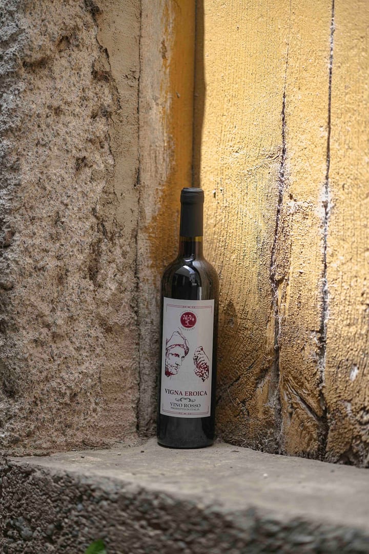 ABP08594_ABPHOTO2024_AZIENDA_AGRICOLA_SILVESTRI vini rossi igp di Verbicaro Calabria