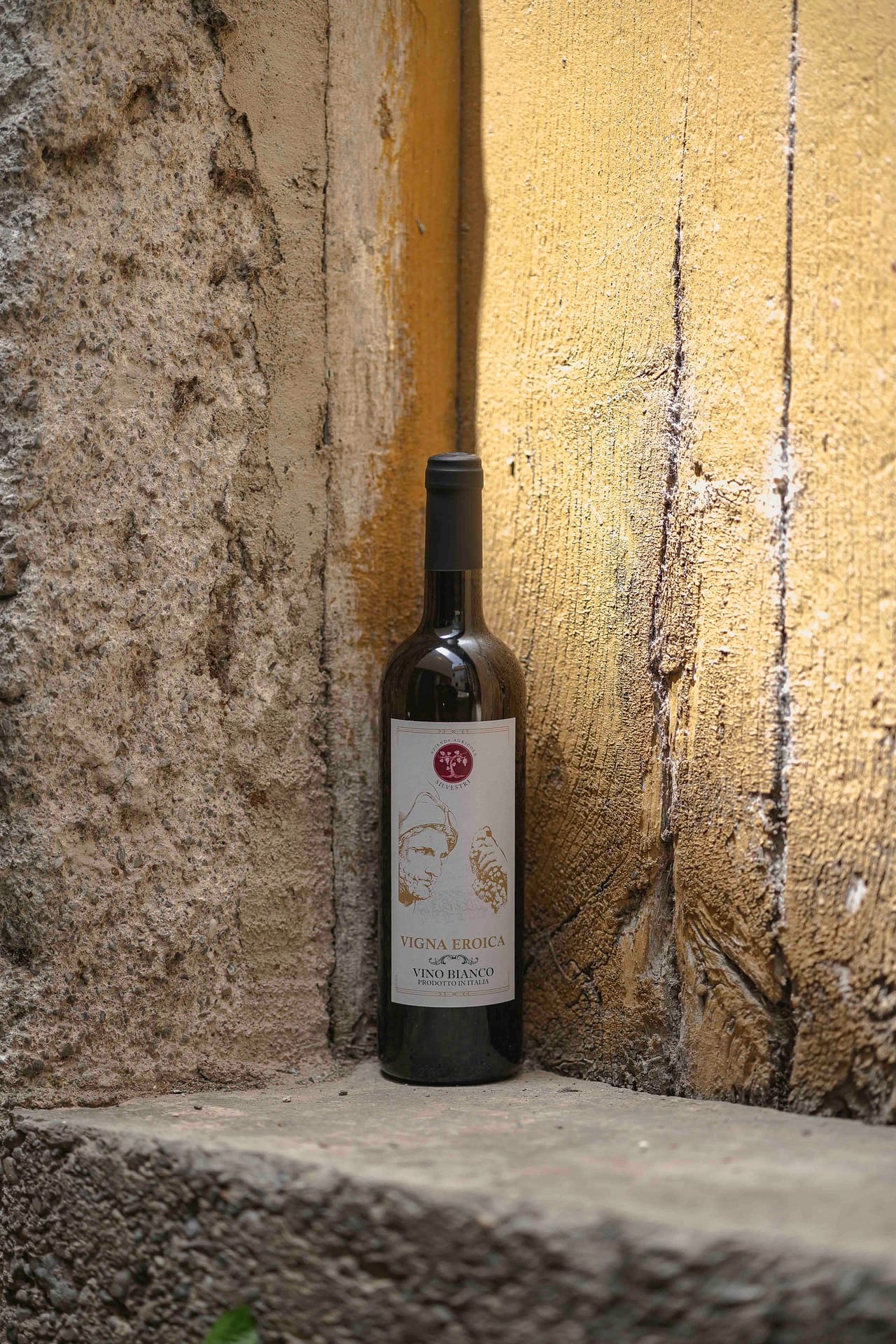 ABP08593_ABPHOTO2024_AZIENDA_AGRICOLA_SILVESTRI vini bianchi igp Verbicaro Calabria